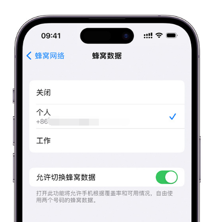 固原苹果维修服务分享如何在iPhone上使用双卡 